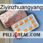 Ziyinzhuangyang new13